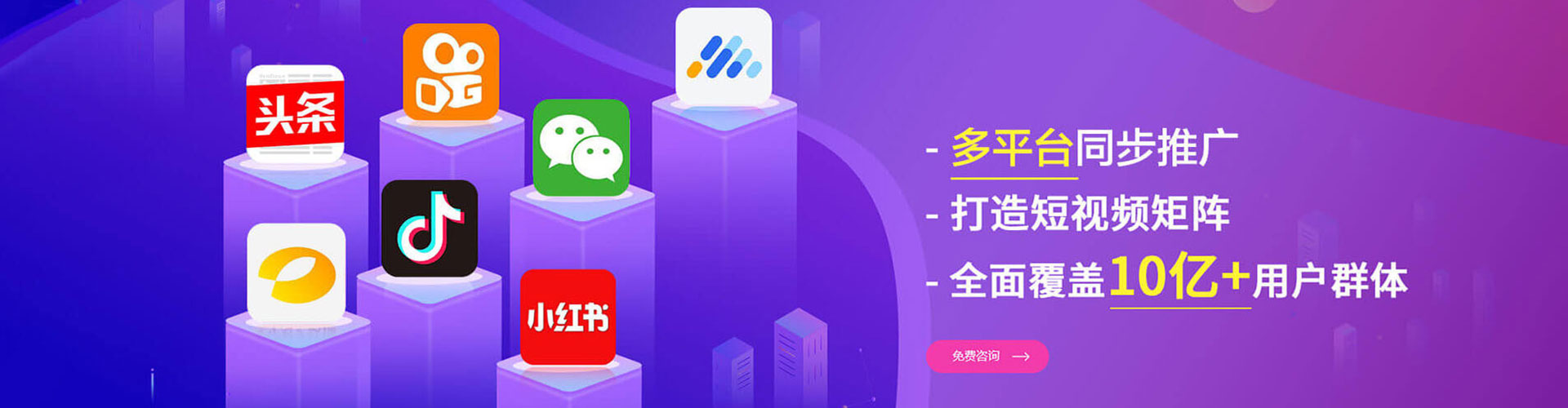 鲤城竞价开户推广